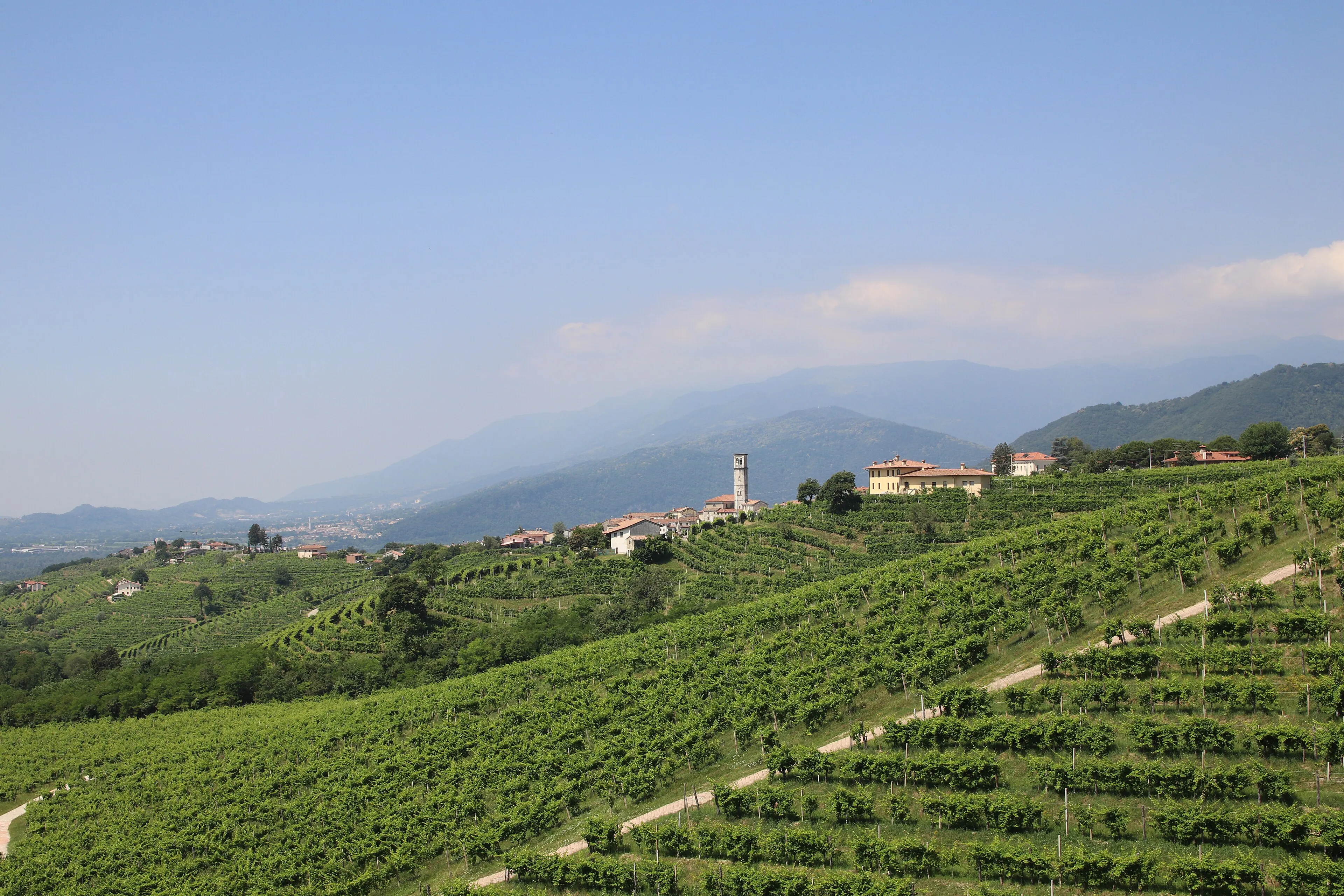 Alta Marca Trevigiana: le colline del Prosecco lontane dalla folla