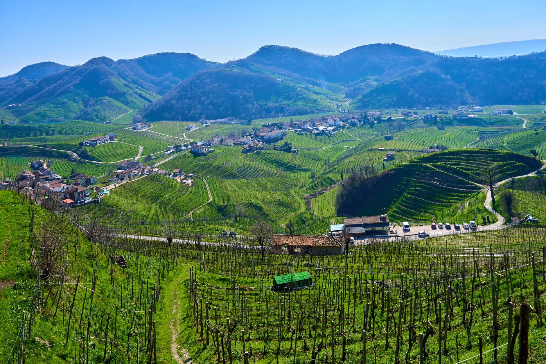 Colline del Prosecco, Veneto