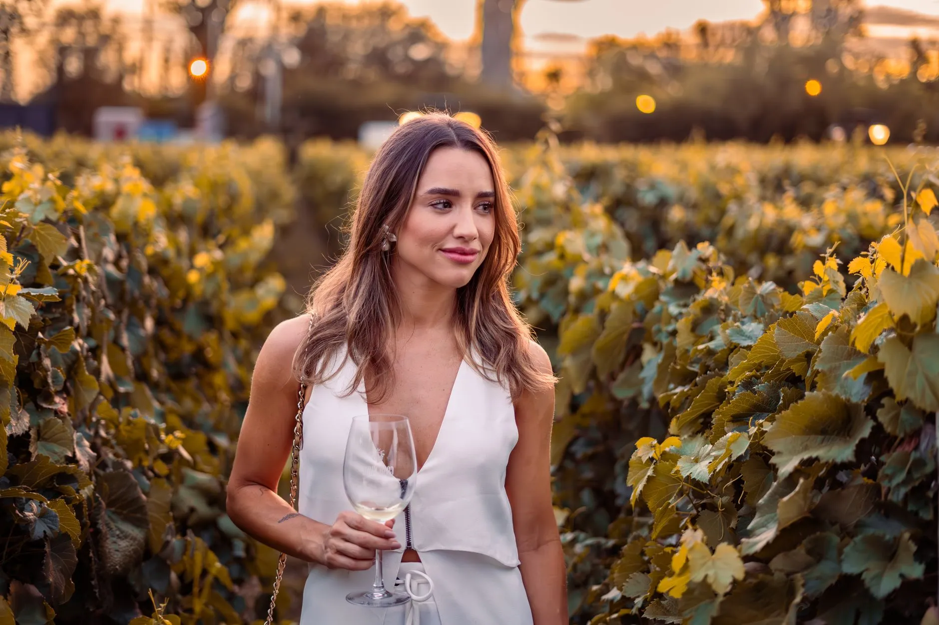 Degustare il Prosecco a Valdobbiadene: come scegliere la cantina giusta