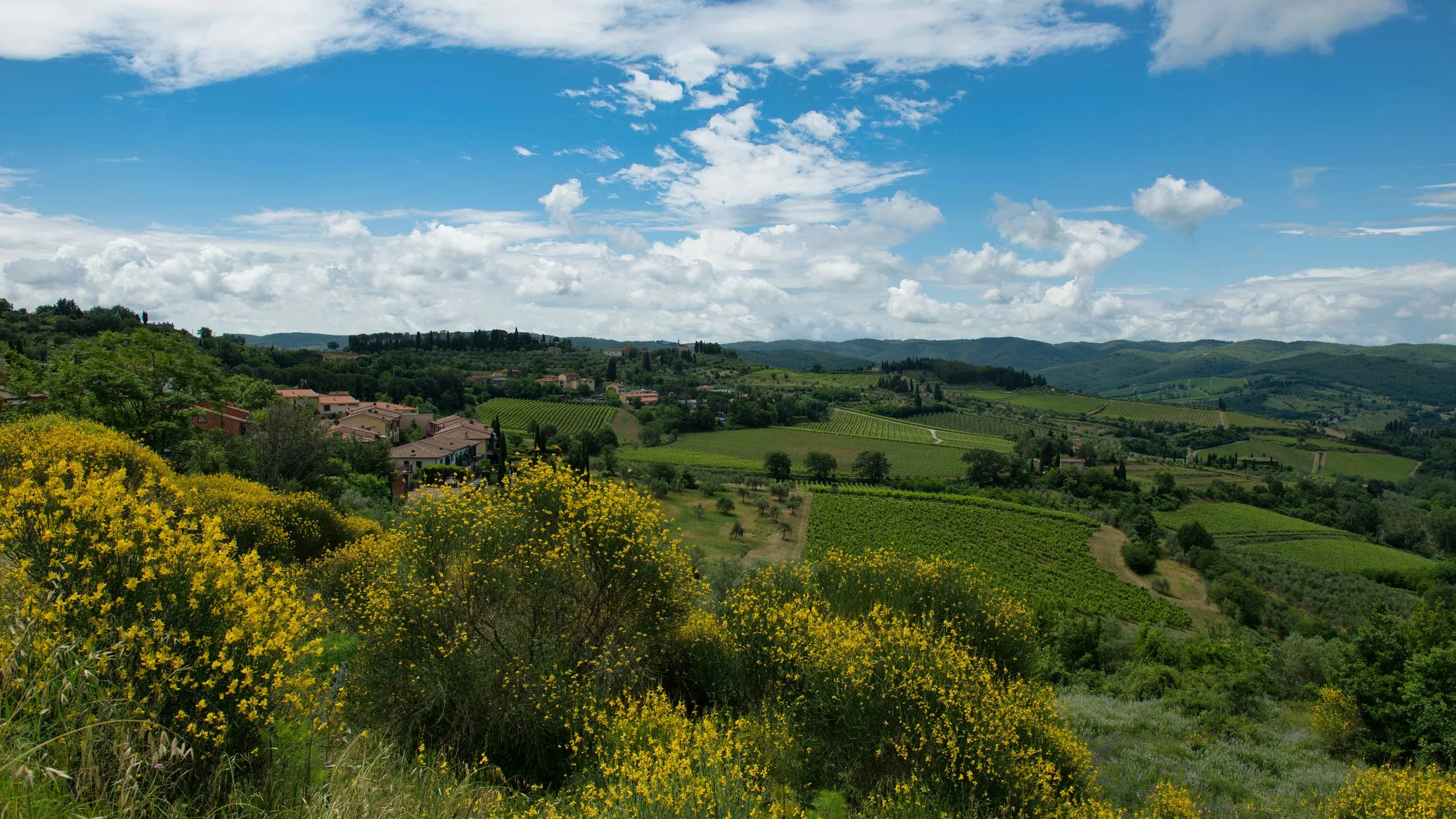 Colline e vigneti in Italia al tramonto