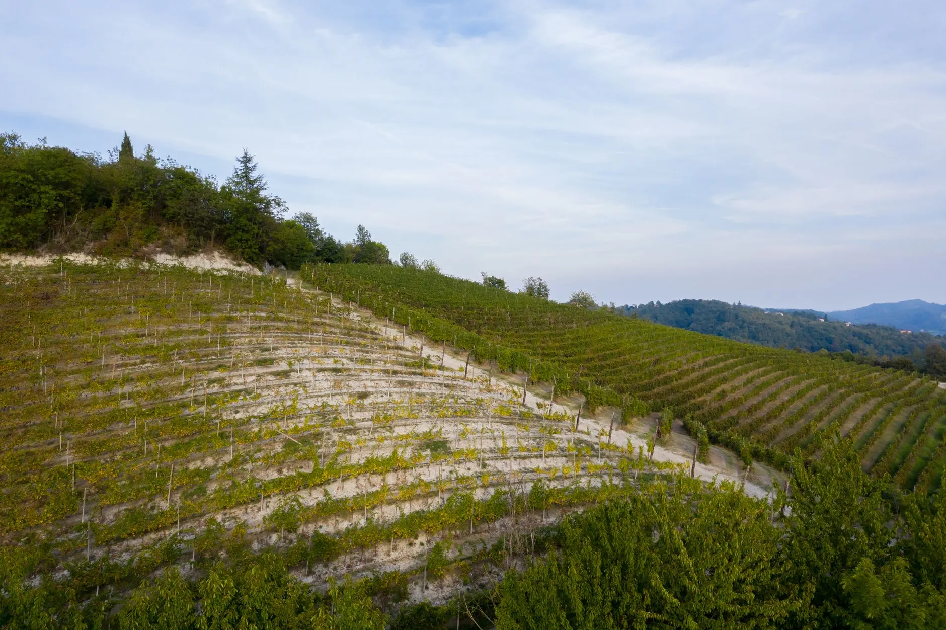 Verona, Valpolicella e Soave, Veneto